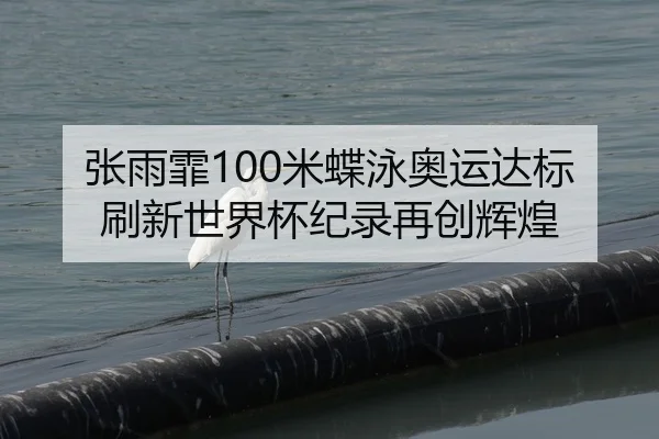 张雨霏100米蝶泳奥运达标刷新世界杯纪录再创辉煌